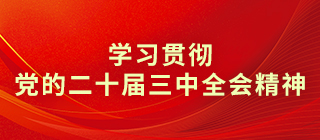 学习贯彻党的二十届三中全会精神