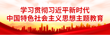 学习贯彻习近平新时代中国特色社会主义思想主题教育